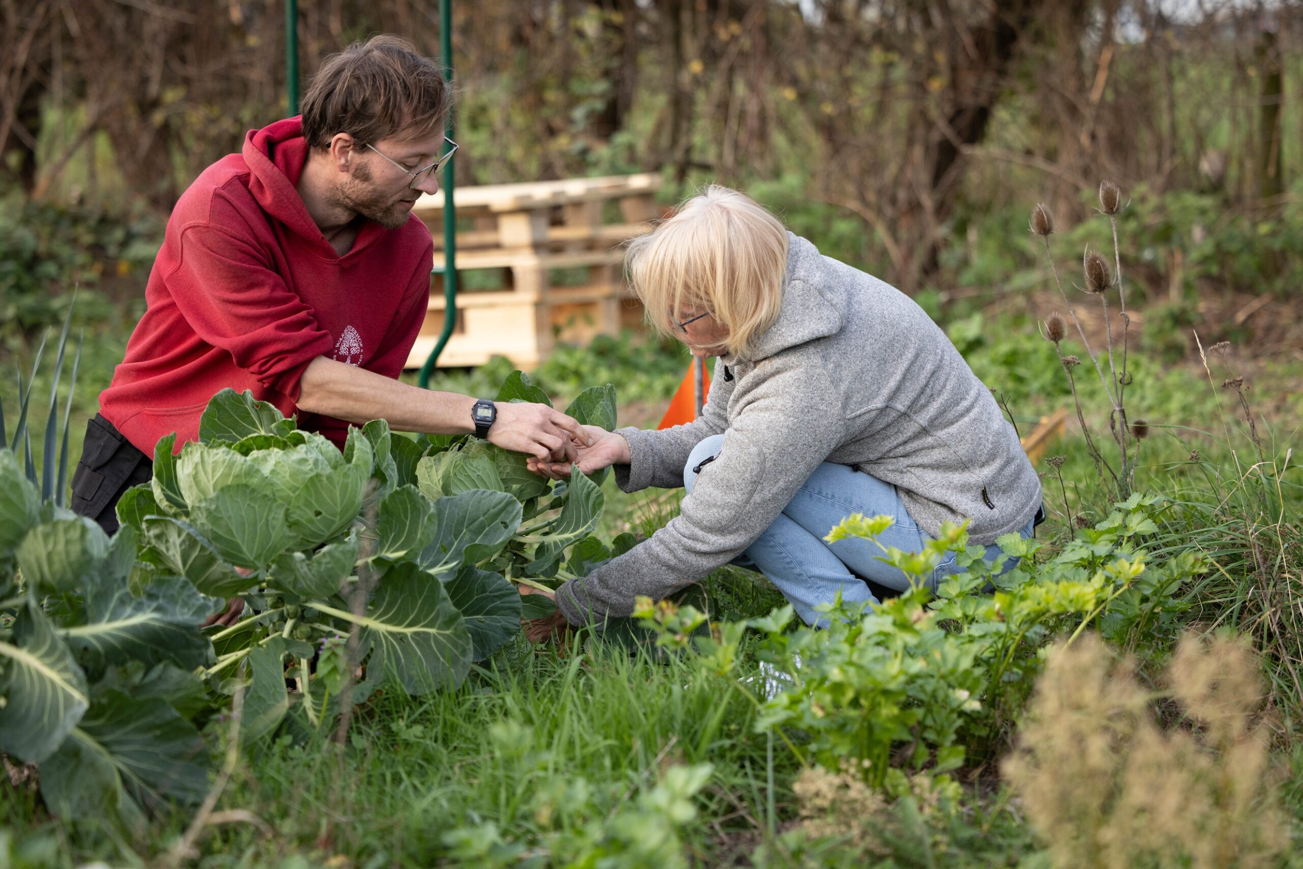 Column in Dorpskrant Overasselt (januari 2026)