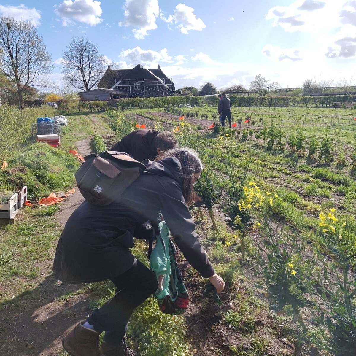 Plukkers van de PvdD.